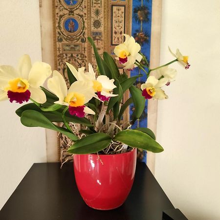 La Casa Nel Borgo Bed & Breakfast Piadena ภายนอก รูปภาพ